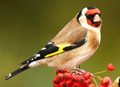 ؈?zh)? border="0" width="120" height="87"  /></a></DIV >

  
  <!-- <div   id="0w866am"   class=box>
<a href=