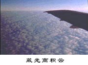 蔽光高積云