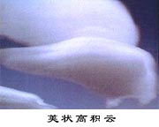 莢狀高積云