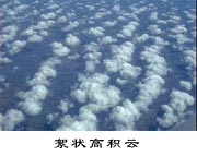 絮狀高積云